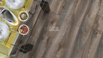 Kronotex Mammut d4792 Дуб Серый Макро фото 4 | FLOORDEALER