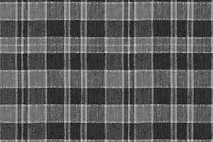 Ковролин Forbo Flotex Vision Pattern 590005 (Plaid) Quartz фото  | FLOORDEALER