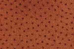 Ковролин Associated Weavers Perfecto 19 фото  | FLOORDEALER