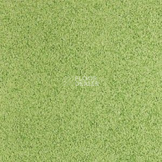 Ковролин BIG Sparkling 235 фото 1 | FLOORDEALER