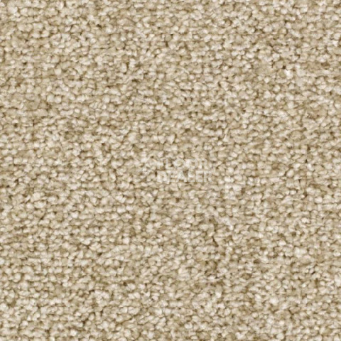 Ковролин Balsan Ultrasoft 610 фото 1 | FLOORDEALER
