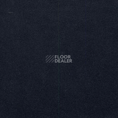 Линолеум Graboplast Evidance 25 1991_275 фото 1 | FLOORDEALER