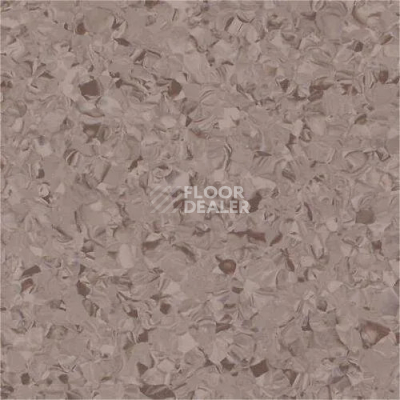 Линолеум Vertigo Victoria Plus V10009 Truffle фото 1 | FLOORDEALER