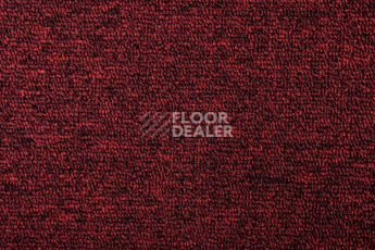 AW Medusa / Медуза 11 фото 3 | FLOORDEALER