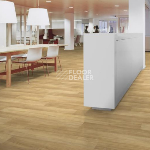 Forbo Flotex Vision Naturals 010034 Pear Wood фото 2 | FLOORDEALER