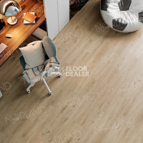 Norland Sigrid Superior 8мм Abbi 1008-1 ABA фото 5 | FLOORDEALER