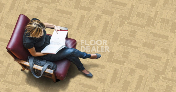 Standard Carpets City Square City Square 795 фото 2 | FLOORDEALER