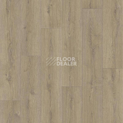 Линолеум Tarkett Praktika NUBIA_1 фото 1 | FLOORDEALER