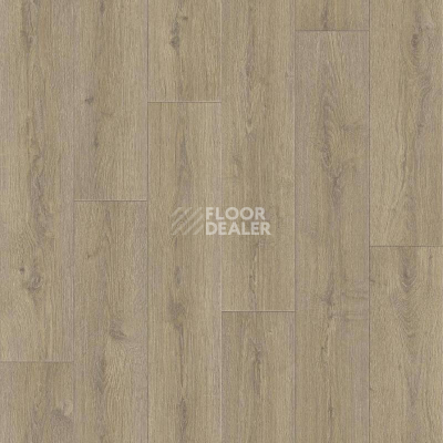 Линолеум Tarkett Praktika NUBIA_1 фото 1 | FLOORDEALER