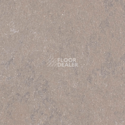 Линолеум Forbo Marmoleum Solid Concrete 3568-356835 delta lace фото 1 | FLOORDEALER