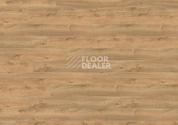 Ламинат Wineo 700 Wood XXL V4 8мм LA224XXLV4 Дуб Финский Золотой фото 1 | FLOORDEALER
