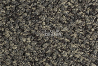 Forbo Tessera Chroma 3611 Treacle фото 2 | FLOORDEALER