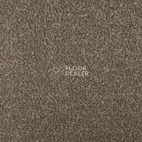 Standard Carpets Mountain View 4398 фото 2 | FLOORDEALER