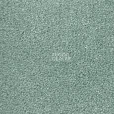Ковролин Radici Montecarlo 76 фото 1 | FLOORDEALER