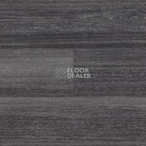 Линолеум Polyflor Expona Wood 6169 фото 1 | FLOORDEALER