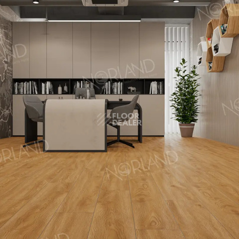 Norland Elegant Strong 12мм Дуб Хонсю LF302-10 фото 3 | FLOORDEALER