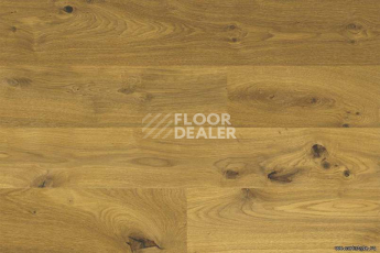 Wood Xl замковое Oak Knotty фото 4 | FLOORDEALER