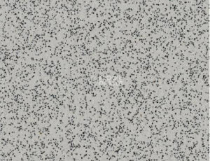 Линолеум Polyflor Polysafe Standard Pur 4540 фото 1 | FLOORDEALER