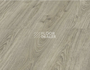 Kronopol Aurum Volo Aqua Zero d40034 Дуб Dove фото 2 | FLOORDEALER