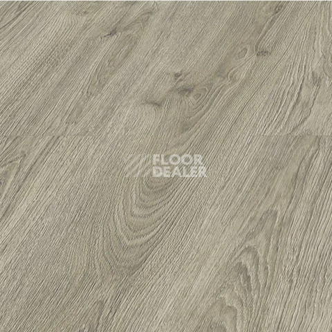 Kronopol Aurum Volo Aqua Zero d40034 Дуб Dove фото 2 | FLOORDEALER