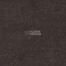 Ковролин Дюна Тафт Venetto 873 фото 1 | FLOORDEALER