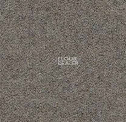 Ковролин Forbo Flotex wonderlab 07 900273 Sandstone фото 1 | FLOORDEALER