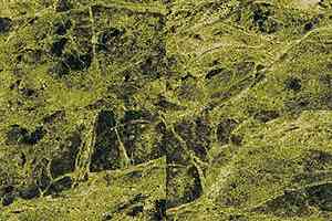 Ковровая плитка Ege Highline Contrast Natural Stone Green rfm 52756545 фото  | FLOORDEALER