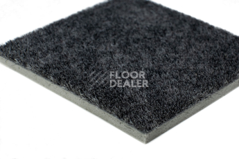Forbo Flotex Colour Calgary 50*50 t590010 Calgary Ash фото 5 | FLOORDEALER