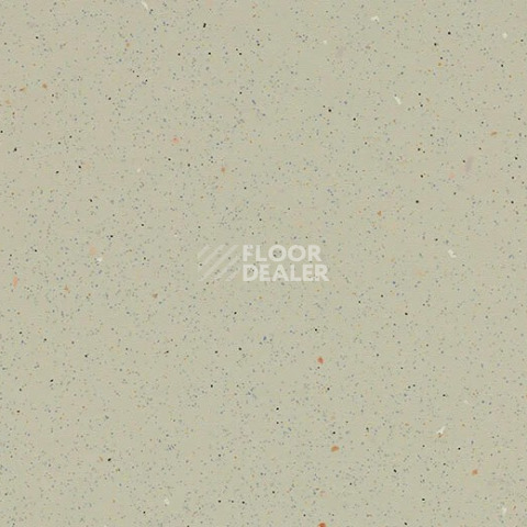 Линолеум Forbo SureStep Original 172472 white moss фото 1 | FLOORDEALER