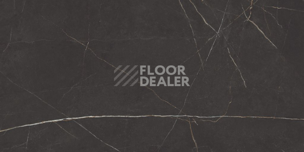 Керамогранит Nolana ( Нолана ) 60 x 120 x 10 NL04 фото 4 | FLOORDEALER