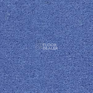 Ковролин Radici Montecarlo 26 фото 1 | FLOORDEALER