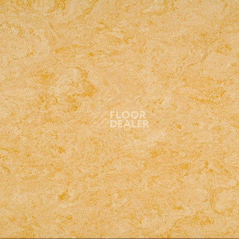 Линолеум Gerflor Marmorette Acoustic DLW 121-076 фото 1 | FLOORDEALER