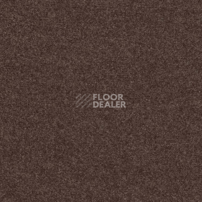 Ковролин Finett Feinwerk 403508 фото 1 | FLOORDEALER