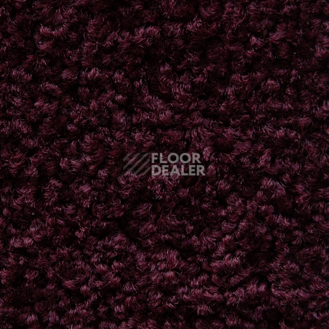 Balsan Serenite 590 фото 2 | FLOORDEALER