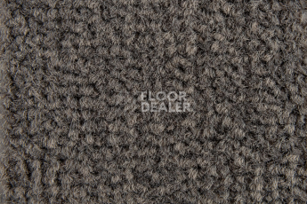 Balsan Les Best 980 фото 2 | FLOORDEALER