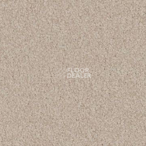 Ковролин Vorwerk Viola 8h52 фото 1 | FLOORDEALER