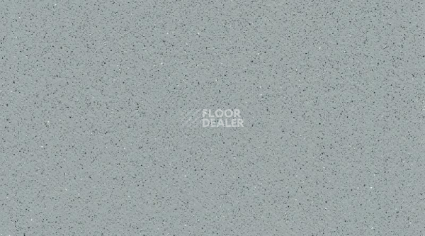 Линолеум Gerflor Tarasafe Super 7767_Dove_Grey фото 1 | FLOORDEALER