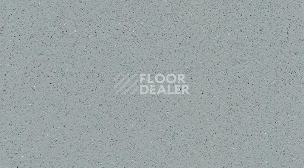 Линолеум Gerflor Tarasafe Super 7767_Dove_Grey фото 1 | FLOORDEALER