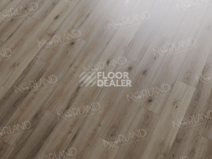 Norland Sigrid  LVT 2мм Signi 1003-15 фото 2 | FLOORDEALER