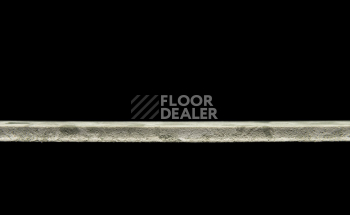 Tarkett Primo Plus 311 фото 3 | FLOORDEALER