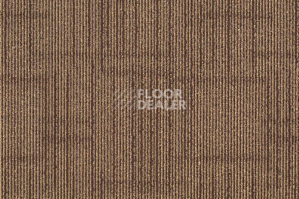 Ковровая плитка Shaw Straightforward 70761 фото 1 | FLOORDEALER