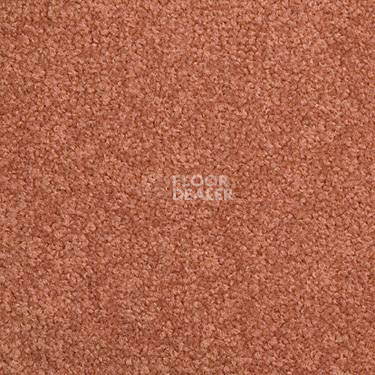 Ковровая плитка Modulyss Cambridge 303 фото 1 | FLOORDEALER