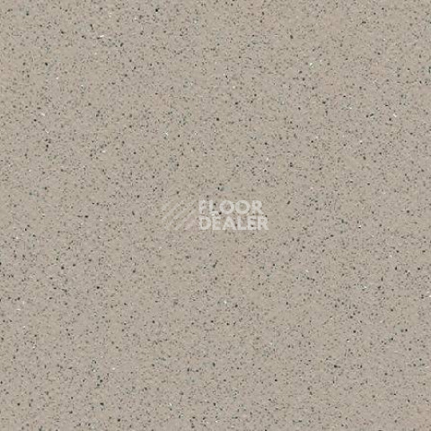 Линолеум Gerflor Tarasafe Plus 7386_Savana фото 1 | FLOORDEALER