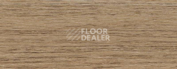 Плинтус Dollken EP 60/13 2661 фото 2 | FLOORDEALER