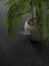 Haima Classic 71 фото 10 | FLOORDEALER