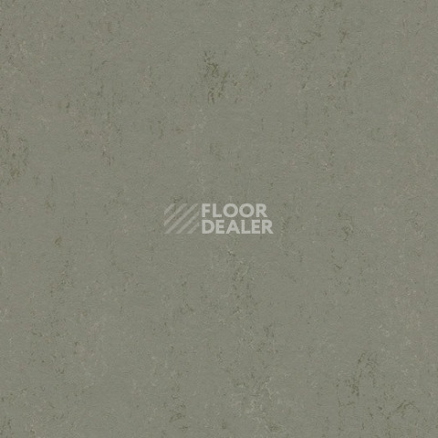 Линолеум Forbo Marmoleum Solid Concrete 3755 glacier фото 1 | FLOORDEALER