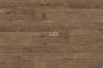 Wood OAK BRUSHED фото 3 | FLOORDEALER