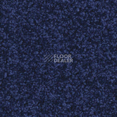 Ковролин Balsan Serenite 190 фото 1 | FLOORDEALER