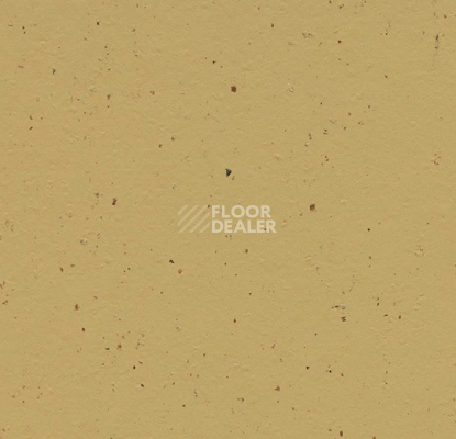 Линолеум Forbo Marmoleum Solid Cocoa 3587 curcuma фото 1 | FLOORDEALER