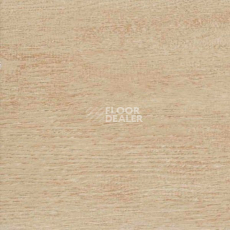 Керамогранит Estima Taste Time ts 03 фото 1 | FLOORDEALER
